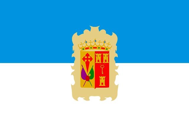 Bandera Realejos, Los