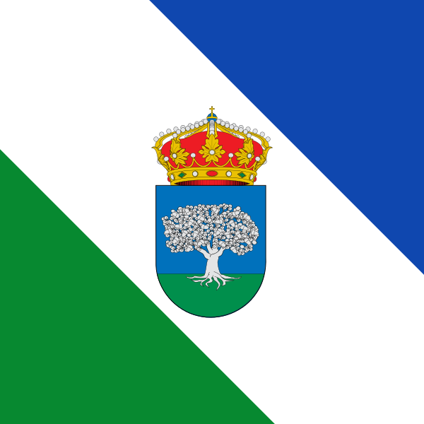 Bandera Santovenia de la Valdoncina