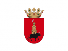 Tu Bandera - Bandera de Toro, El