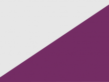 Tu Bandera - Bandera de Torregamones