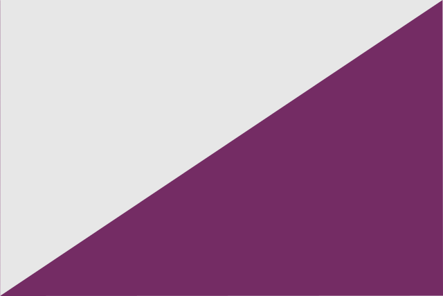 Bandera Torregamones
