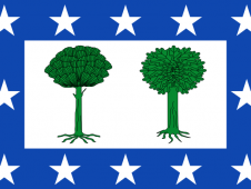 Tu Bandera - Bandera de Valdesimonte