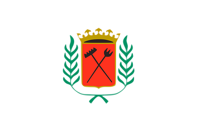 Bandera Vallecas