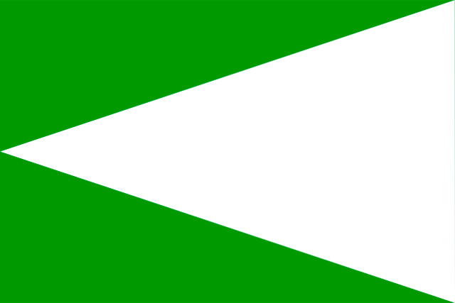 Bandera Villanueva del Campo