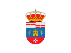 Tu Bandera - Bandera de Viso de San Juan, El