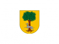 Tu Bandera - Bandera de Barillas