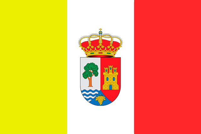 Bandera Castrillo de la Vega
