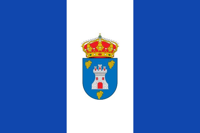 Bandera Castrillo Solarana