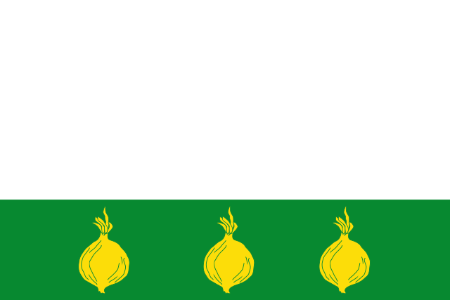 Bandera Cebolleros