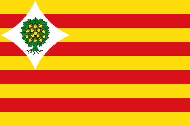 Bandera Comarca del Campo de Belchite