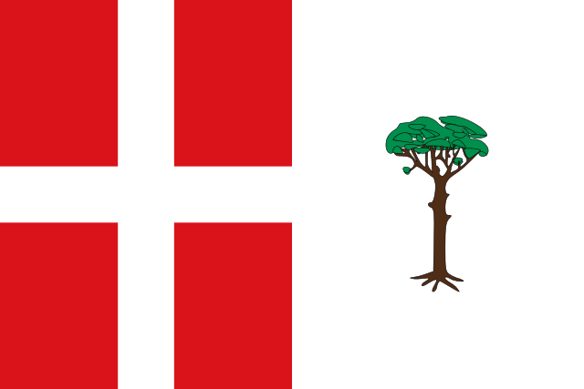 Bandera Espeja de San Marcelino