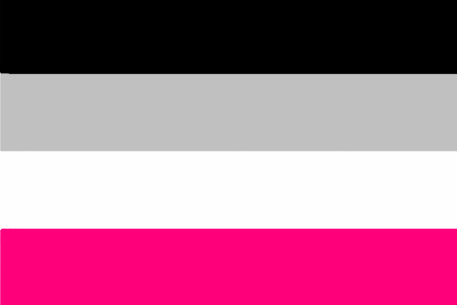 Bandera Ginesexual