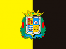 Tu Bandera - Bandera de La Aldea de San Nicolás