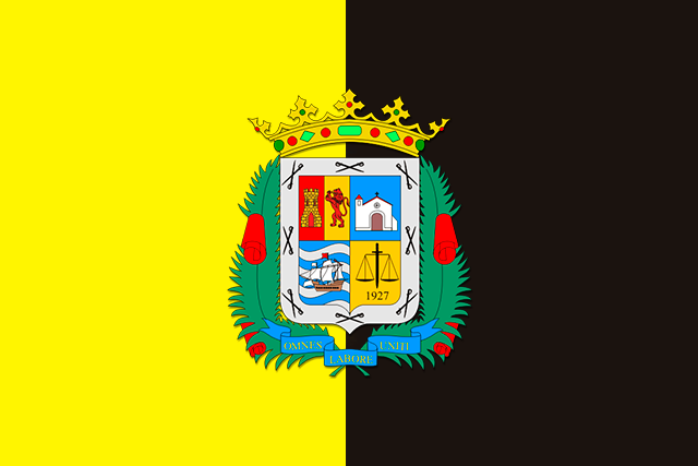 Bandera La Aldea de San Nicolás