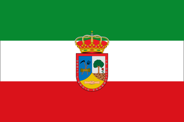 Bandera La Guijarrosa