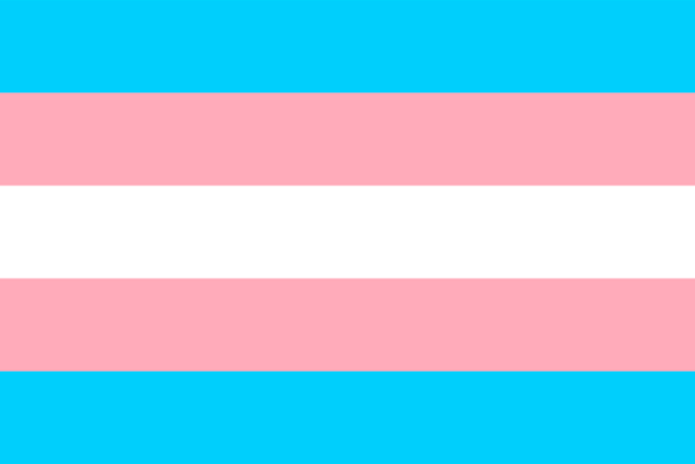 Tu Bandera - Bandera de Orgullo Transgénero