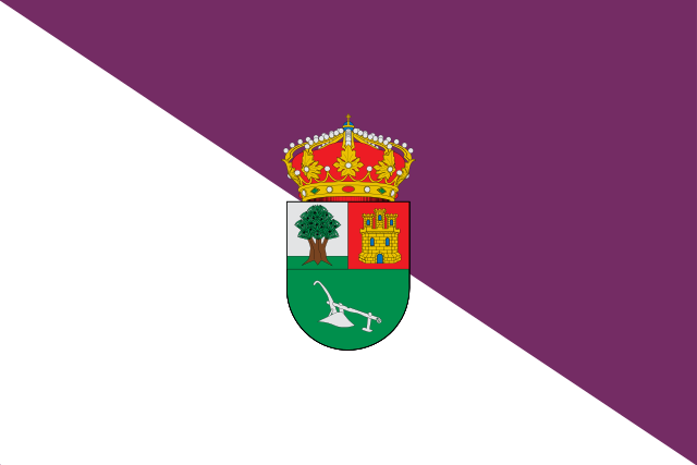 Bandera Valdenebro
