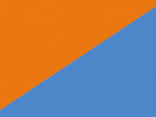 Tu Bandera - Bandera de Vega de San Mateo