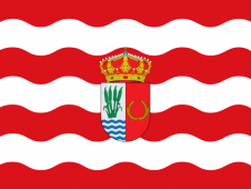 Tu Bandera - Bandera de Yuncler