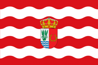 Tu Bandera - Bandera de Yuncler