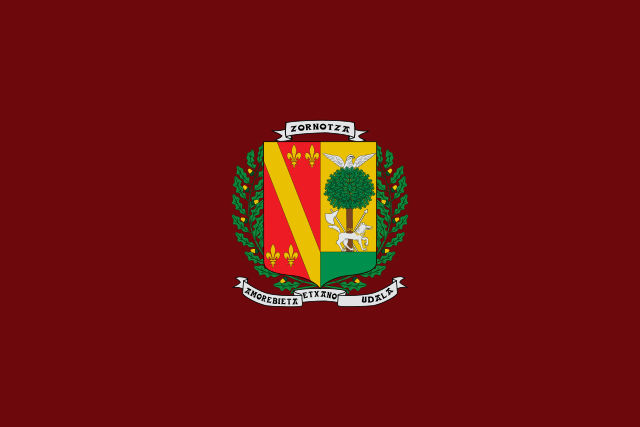 Bandera Amorebieta-Etxano