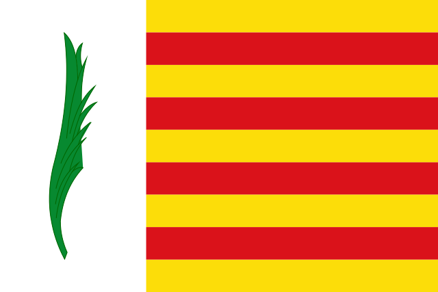 Bandera Argentona