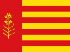 Tu Bandera - Bandera de Azuara