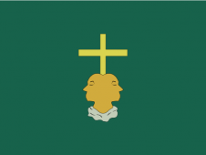 Tu Bandera - Bandera de Barásoain