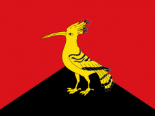 Tu Bandera - Bandera de Bellmunt d'Urgell