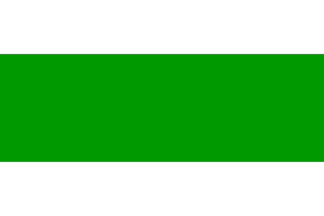 Bandera Lalín