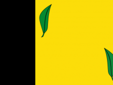 Tu Bandera - Bandera de Vandellós y Hospitalet del Infante (Vandellòs i l'Hospitalet de l'Infant)