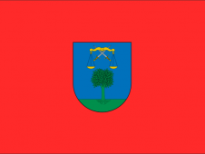 Tu Bandera - Bandera de Arce/Artzi