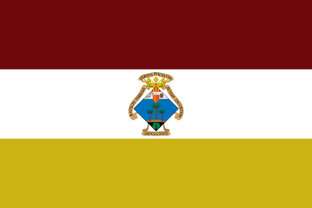 Bandera Pinoso