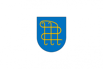 Tu Bandera - Bandera de Zabalza/Zabaltza