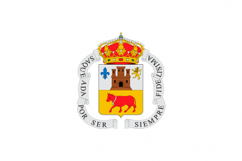 Tu Bandera - Bandera de Borja (Zaragoza)