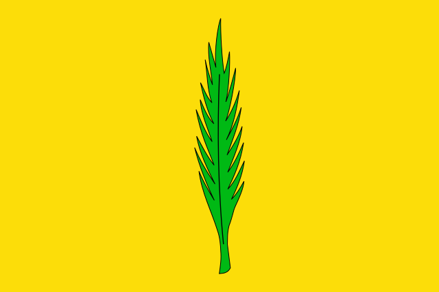 Bandera La Palma de Cervelló