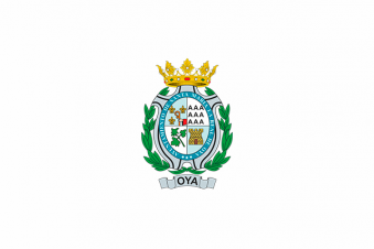Tu Bandera - Bandera de Oia (Pontevedra)