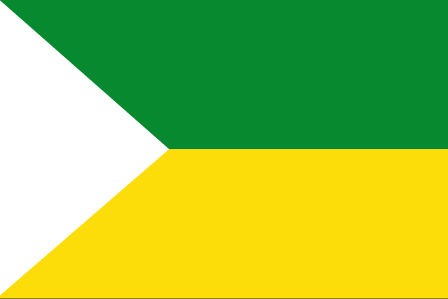 Bandera San Vicente (Antioquia)
