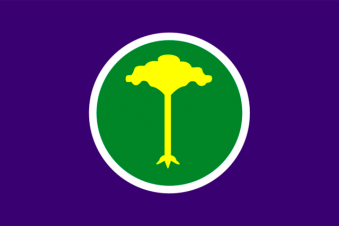 Tu Bandera - Bandera de São Carlos