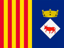 Tu Bandera - Bandera de Vacarisses
