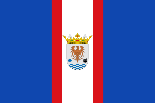 Bandera Val de San Vicente