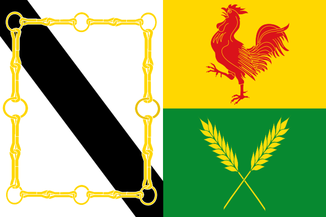 Bandera Ginzo de Limia